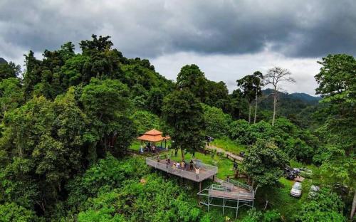 an overhead view of a building in the middle of a forest at Toh Tao Homestay 