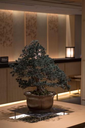 Foto dalla galleria di DoubleTree by Hilton Kyoto Higashiyama a Kyoto