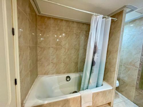 a bathroom with a tub and a shower at Apartamento Alderetes in Córdoba
