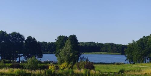 a view of a lake in a field with trees at Domek nad Dadajem in Kromerowo