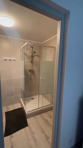 une douche avec une porte vitrée dans une salle de bain dans l'établissement Appartement privé « Rive Droite », à Serrières