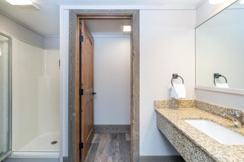 een badkamer met een wastafel en een spiegel bij Mountainside Inn 316 by Alpine Lodging Telluride in Telluride