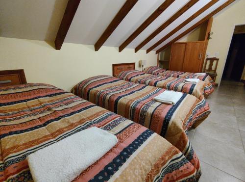 a row of four beds in a room at Cerro Pirámide Alojamiento in Caviahue