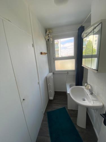 une petite salle de bain avec un lavabo et un miroir dans l'établissement Bel appartement avec parking et terrasse plein sud, au Havre