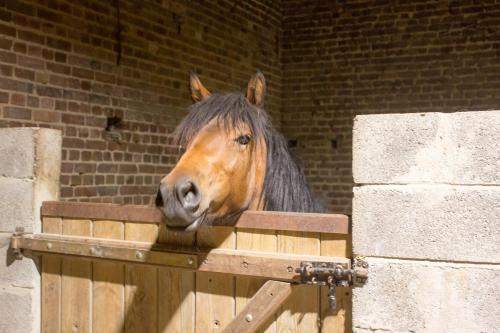 Φωτογραφία από το άλμπουμ του Chez mumu σε Frévillers
