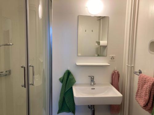 a bathroom with a sink and a shower and a mirror at Ferienwohnung Banca Veglia in Sta Maria Val Müstair