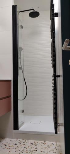 une douche avec une porte vitrée dans une salle de bain dans l'établissement Bel appartement 50 m2, à Paris