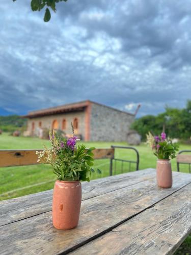 two potted plants sitting on a wooden table at Chubini Winery & Cabins in Kvareli
