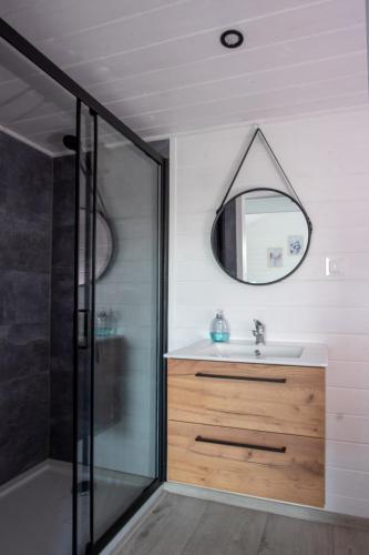 a bathroom with a shower and a sink and a mirror at Zielona Górka in Biskupiec