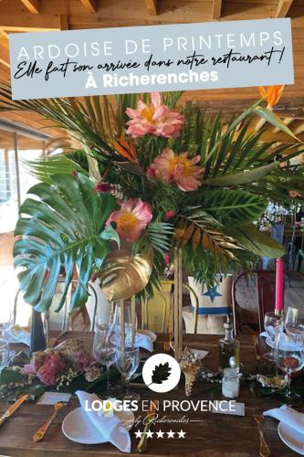 Gallery image of Lodges en Provence - Ecogîtes & Restaurant insolites in Richerenches