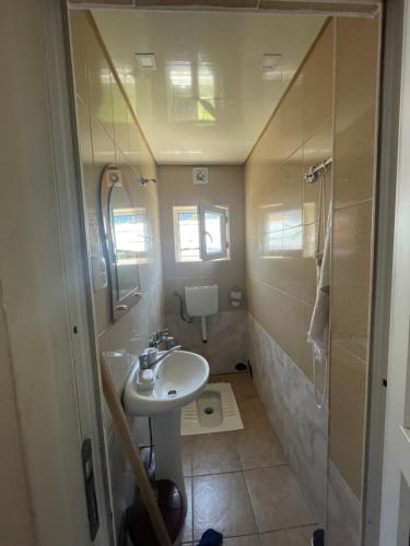 La petite salle de bains est pourvue d'un lavabo et d'un miroir. dans l'établissement tamila's guesthause, à Mestia
