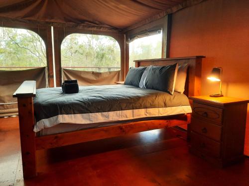 um quarto com uma cama num quarto com duas janelas em Wild Nature Lodge, Mareeba Wetlands em Biboohra