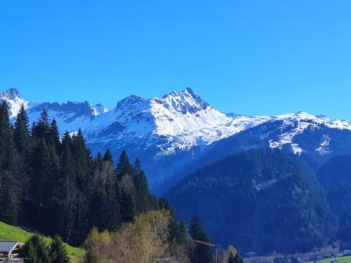 Chalet Cannon- Mountain Getaway