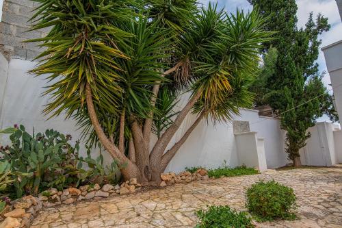 Κήπος έξω από το Residence Dolce Vita
