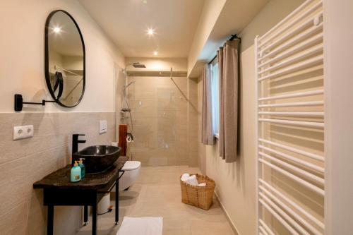 a bathroom with a sink and a toilet and a mirror at Winzerhaus Rose 