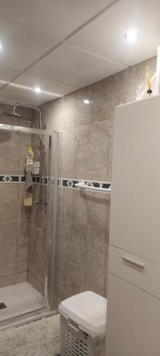 e bagno con doccia, servizi igienici e frigorifero. di Résidence MADRID ad Alcossebre