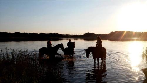 a group of people riding horses in the water at Mazurskie Siedlisko Langen in Mrągowo