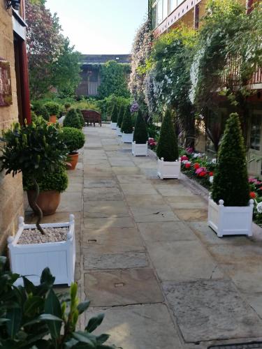 a row of potted plants on a sidewalk at Garrison Hotel in Sheffield