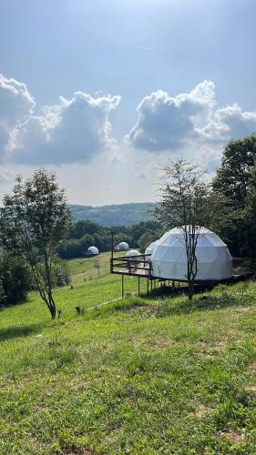 two tents on a table in a field at Sanctum Glamping in Jupâneşti
