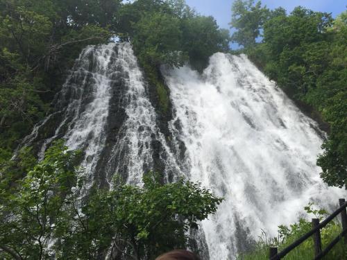 a waterfall in the middle of a forest at The LODGE ABASHIRI in Abashiri