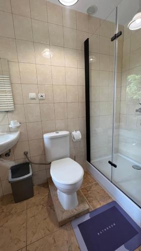 a bathroom with a toilet and a shower and a sink at Kraken-pokoje gościnne in Krynica Morska