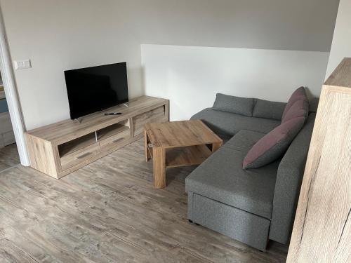a living room with a couch and a flat screen tv at Apartmán Jenčice v Českém středohoří in Jenčice