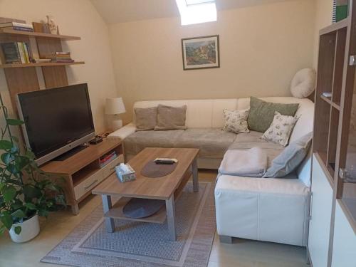 Ferienwohnung Gütl am Wegにあるテレビまたはエンターテインメントセンター
