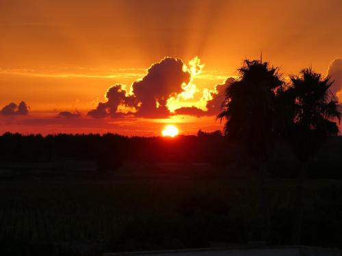a sunset with a palm tree in the foreground at A Casa di Lu in Minervino di Lecce