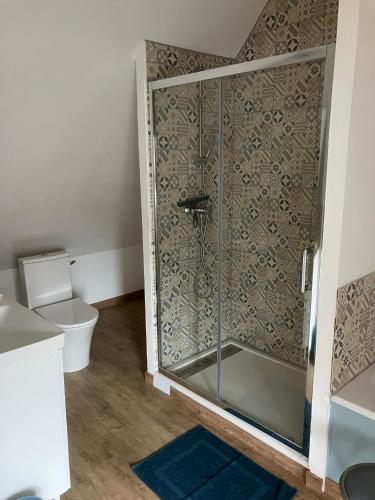 a bathroom with a shower and a toilet at Le chat sur le balai in Ecques