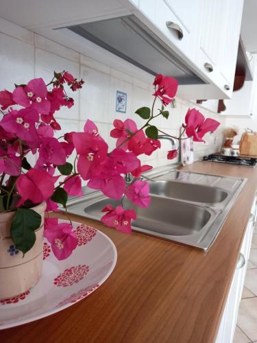 un bancone della cucina con lavandino e fiori rosa di Appartamento seminterrato Salento ad Alliste