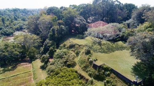 an overhead view of a house in the forest at Lunuganga Estate in Bentota