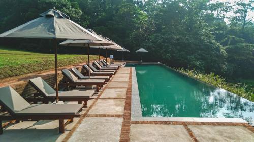 a row of chairs and an umbrella next to a pool at Lunuganga Estate in Bentota