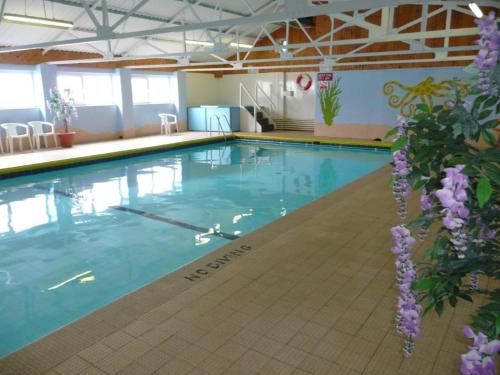 a large swimming pool with blue water and purple flowers at Two Little Ducks Holiday Chalet in Knelston