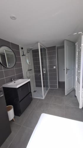La salle de bains est pourvue d'un lavabo, d'une douche et d'un miroir. dans l'établissement Clos Marie-Louise, à Offranville