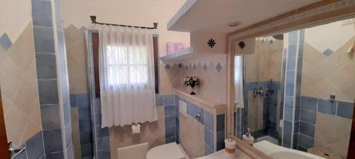 カンニジョネにあるAppartamenti Cannigione La Coniaのバスルーム(シャワー、トイレ、シンク付)