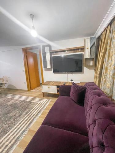 a living room with a purple couch and a flat screen tv at شقة مركزية بإطلالة ساحرة in Istanbul