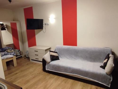 een woonkamer met een grijze bank en rode strepen bij Apartment in the center of Krakow in Krakau