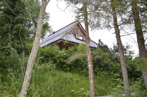 an old house in the middle of the forest at Mountain chalet SmoLenisko domek w górach in Nowy Targ