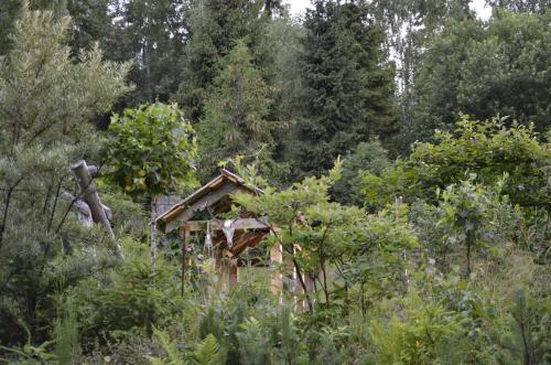 a small house in the middle of a forest at Mountain chalet SmoLenisko domek w górach in Nowy Targ