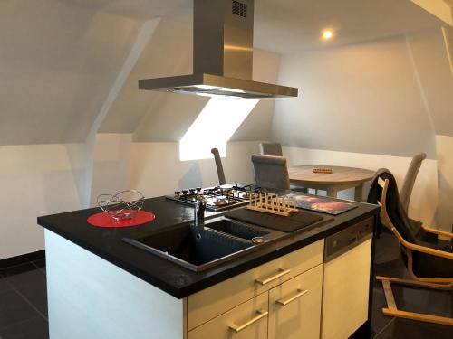 a kitchen with a sink and a stove at La Jolie Pause in La Gacilly