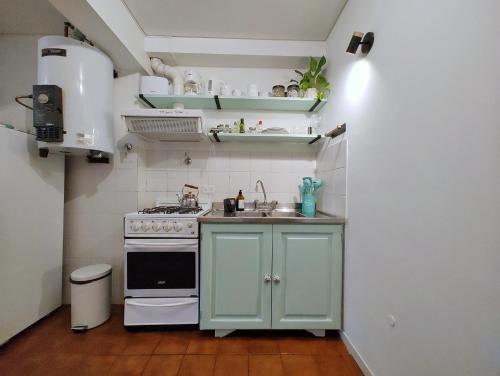 a small kitchen with a stove and a sink at Alto Atardecer in San Martín de los Andes