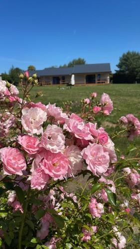 Bursztynowy Zakątek