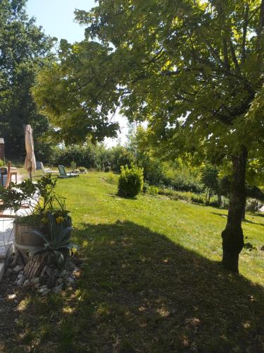 a park with a tree in the grass at La Coste Blanque in Montaut
