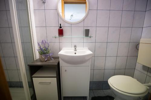 een badkamer met een wastafel, een toilet en een spiegel bij Hiška Amoris K117 Terme Banovci, 2 kopalni karti gratis in Veržej