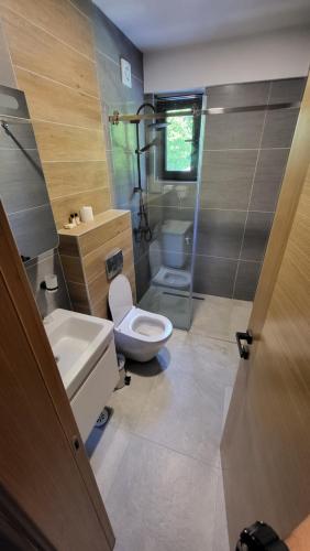 a bathroom with a toilet and a sink and a shower at Janjska Kuća in Šipovo