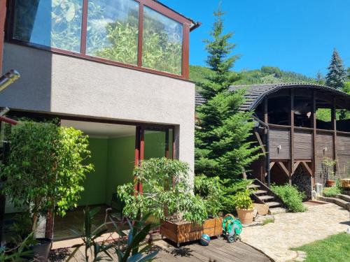 een huis met een groene deur en wat planten bij Villa Remata in Handlová