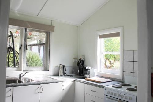 a white kitchen with a sink and two windows at Splendid Wren Cottage in Deeside