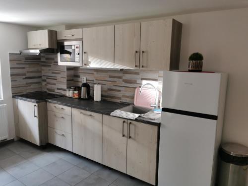 a kitchen with white cabinets and a white refrigerator at Apartmány Svítkov 79 in Pardubice