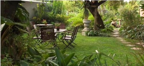 d'un jardin avec une table et des chaises dans la pelouse. dans l'établissement Schoongezich Guesthouse, à Pretoria
