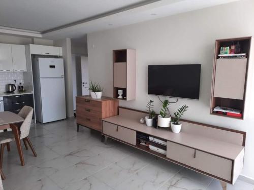 een woonkamer met een flatscreen-tv aan de muur bij Alanya-Avsallar 55m 1+1 in Avsallar